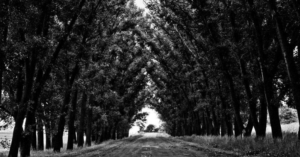 run AI agents google cloud 2026